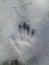 Human tracks in the snow