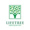 Human tree icon with leaves in square concept. go green logo. nature conservation logo. eco company logo. environmental logo