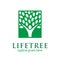 Human tree icon with leaves in square concept. go green logo. nature conservation logo. eco company logo. environmental logo