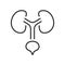 Human Urinary System Line Icon. Health Bladder and Kidney Linear Pictogram. Urology Disease Outline Icon. Anatomical