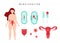 Human uterus and ovaries. Female menstruation concept. Uterus with ovarian organ, swabs, gasket, menstrual cup and blood