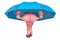 Human uterus under umbrella, protect concept. 3D rendering