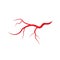 Human veins and arteries illustration