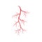 Human veins and arteries illustration