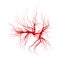 Human veins, red blood vessels design. Vector illustration on white background