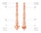 Human vertebral column in anterior posterior view, with spine parts labeled. Vector flat realistic concept illustration