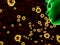 Human virus infection medical symbol - 3D illustration