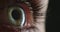 Human, vision and green eye, eyes or eyelash, eyelid or sight wellness. Iris, eyeball health or contact lens, pupil