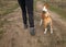 Human wearing track pants and running shoes standing with basenji dog on an earth road