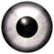 Human white eyeball with black round