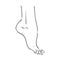 Human woman bared feet line drawing. Vector illustration sketch