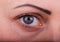 Human woman eye with day beauty makeup and long natural eyelashes
