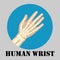 Human wrist emblem