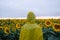 Human in yellow hood raincoat standing in sunflower field.