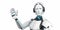 Humanoid Robot Callbot