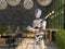 A humanoid robot waiter carries a tray of food and drinks in a restaurant. Artificial intelligence replaces maintenance staff. The