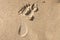 Humans feet prints on a wet sand