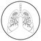 Humans lungs line art icon