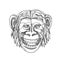 Humanzee Smiling Doodle