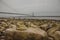 Humber Bridge, England, the UK - pebbles on the beach; cloudy day.