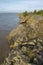 Humber Estuary Coastal Erosion North Ferriby, England