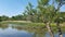 Humber river view in summer