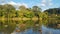 Humber river view in summer with ducks