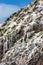 Humboldt penguins at the Islas Ballestas, Paracas Peninsula, Per