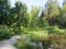 Humid Biotope in Upper Bavaria