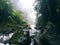 Humid mountain river in green jungle forest. Tropical nature photo. Mountain river in jungle forest