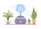 Humidifier with house plants. Equipment for home or office. Ultrasonic air purifier in the interior. Cleaning and