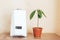 Humidifier is in working order, next to the house plant. Humidification, ionization and air purification. Health care