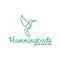 Humming Bird Exclusive logo Design