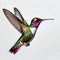 Humming bird wonderful illustration 3d rendered photography ultra detailed