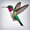 Humming bird wonderful illustration 3d rendered photography ultra detailed