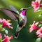 Humming bird wonderful illustration 3d rendered photography ultra detailed