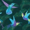 Hummingbird Background