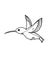 Hummingbird cartoon illustration drawing white background