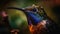 Hummingbird Close-Up: Martian Winged Marvels