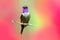 Hummingbird from Colombia  in bloom flower, Colombia, wildlife from tropic jungle. Wildlife scene from nature. Hummingbird with