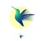 Hummingbird color transparent logo. Tropical forest emblem. A flying colibri bird.