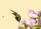 Hummingbird fleeing wasp.