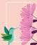 hummingbird flowers banner