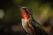 hummingbird, fluttering its wings, in close-up shot