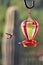 Hummingbird flying around feeder in the Arizona Desert