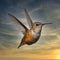Hummingbird Frozen Flight Flying Hovering Clouds Background