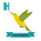 Hummingbird. H letter. Cute children animal alphabet in vector.
