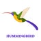 Hummingbird Line Art Icon