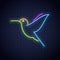 Hummingbird neon logo design. Colibri bird neon