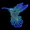 Hummingbird neon shiny vector illustration
